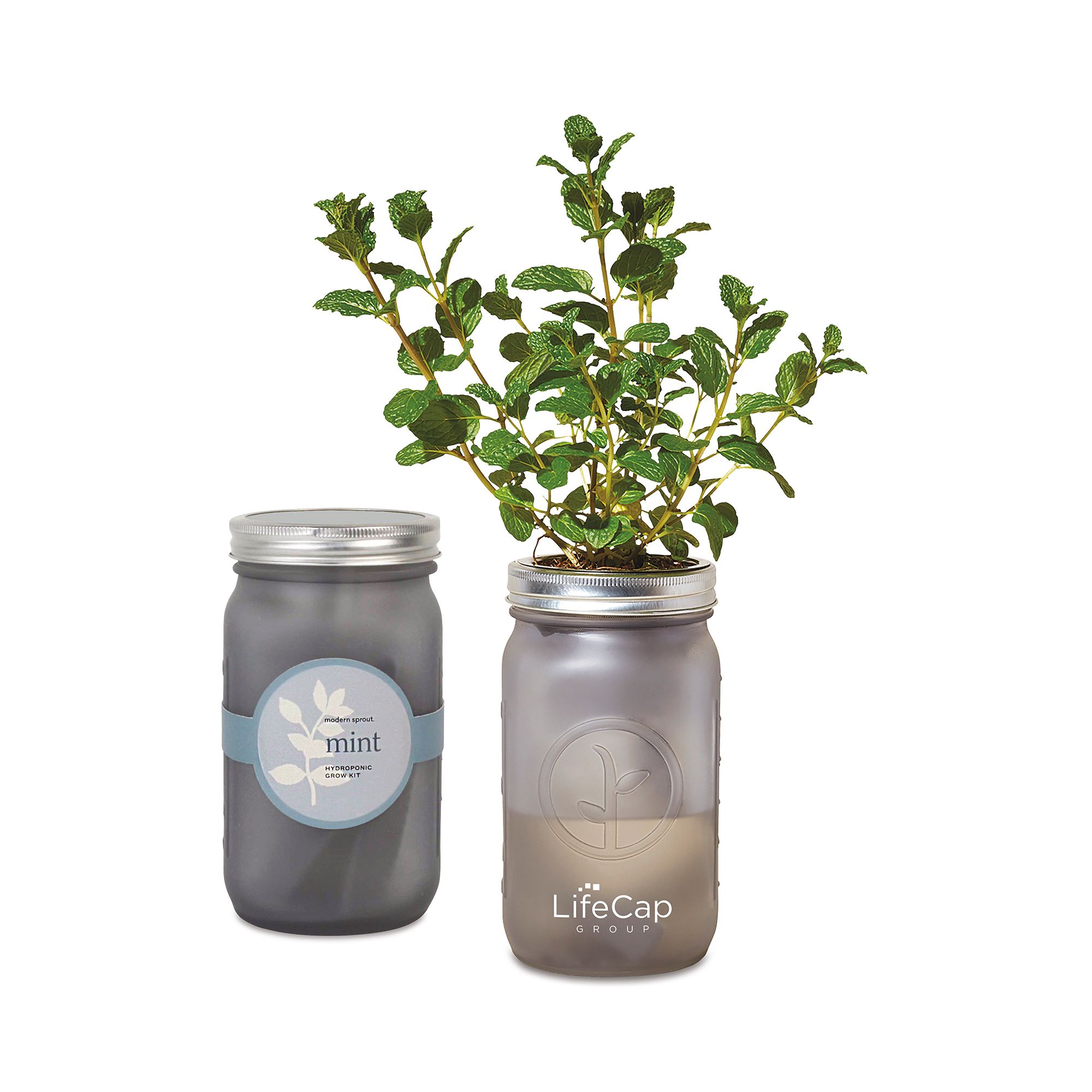 Herb Garden