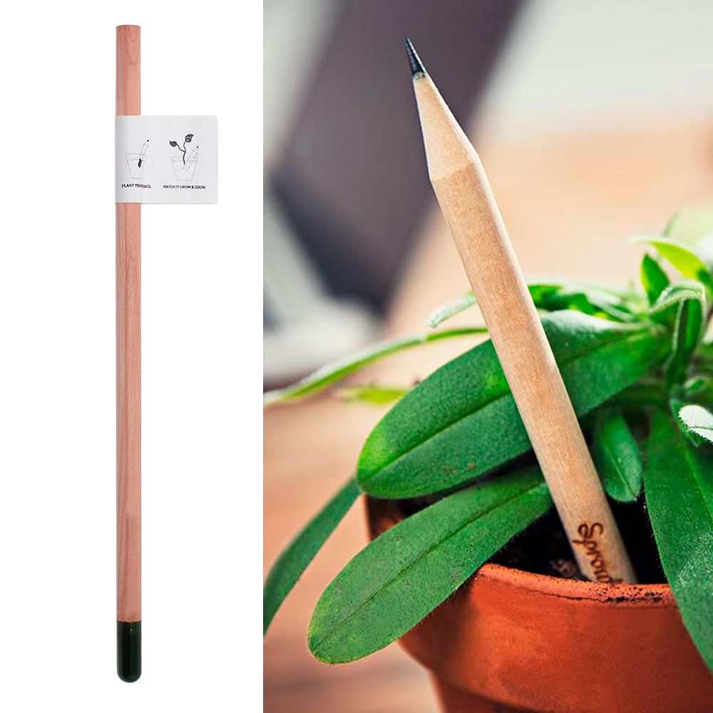 Pencil